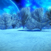 zxc botov